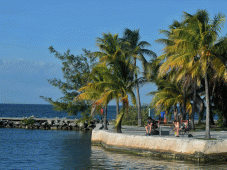 Florida Tours NEW - Naples, FL > Florida City, FL