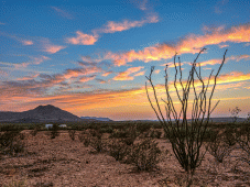 Tribute to Easy Rider NEW - Terlingua, TX > Big Bend National Park > Terlingua, TX